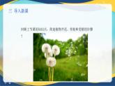 项目2 2.4 植物的生殖器官（3）（课件）-《植物生产与环境》（高教版第4版）同步精品课堂