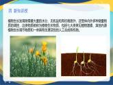 项目2 2.5 植物的生长物质（1）（课件）-《植物生产与环境》（高教版第4版）同步精品课堂