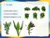 项目2 2.1 植物的细胞（1）（课件）-《植物生产与环境》（高教版第4版）同步精品课堂