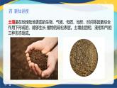 项目3 3.1 土壤的基本组成（1）（课件）-《植物生产与环境》（高教版第4版）同步精品课堂