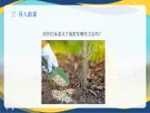 项目3 3.3 植物营养与科学施肥（1）（课件）-《植物生产与环境》（高教版第4版）同步精品课堂