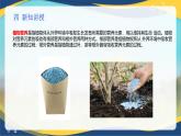 项目3 3.3 植物营养与科学施肥（1）（课件）-《植物生产与环境》（高教版第4版）同步精品课堂