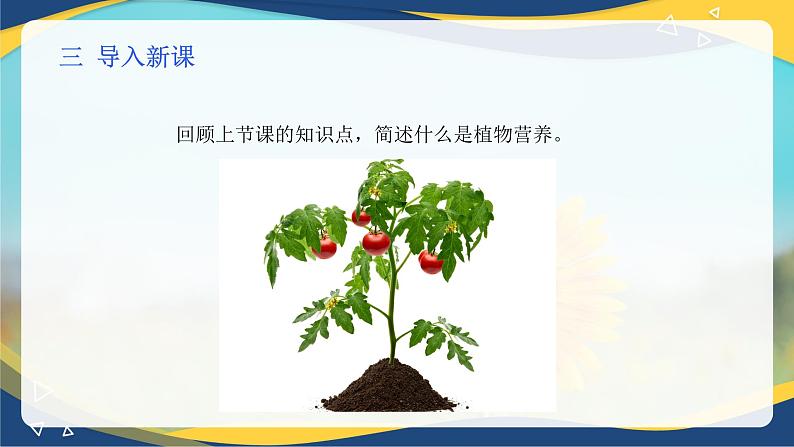 项目3 3.3 植物营养与科学施肥（2）（课件）-《植物生产与环境》（高教版第4版）同步精品课堂04