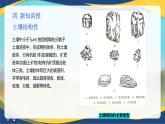 项目3 3.2 土壤的基本性质（2）（课件）-《植物生产与环境》（高教版第4版）同步精品课堂