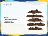 项目3 3.2 土壤样品采集与保存（课件）-《植物生产与环境》（高教版第4版）同步精品课堂