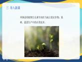 项目2 2.5 植物生长调节剂对植物生长发育影响的观察（课件）-《植物生产与环境》（高教版第4版）同步精品课堂