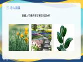 项目1 1.1 植物生产与环境概述（2）（课件）- 《植物生产与环境》（高教版第四版）同步精品课堂