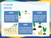 项目1 1.1 植物生产与环境概述（2）（课件）- 《植物生产与环境》（高教版第四版）同步精品课堂