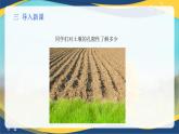 项目3 3.2 土壤的基本性质（1）（课件）-《植物生产与环境》（高教版第4版）同步精品课堂