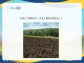 项目3 3.2 土壤的基本性质（3）（课件）-《植物生产与环境》（高教版第4版）同步精品课堂