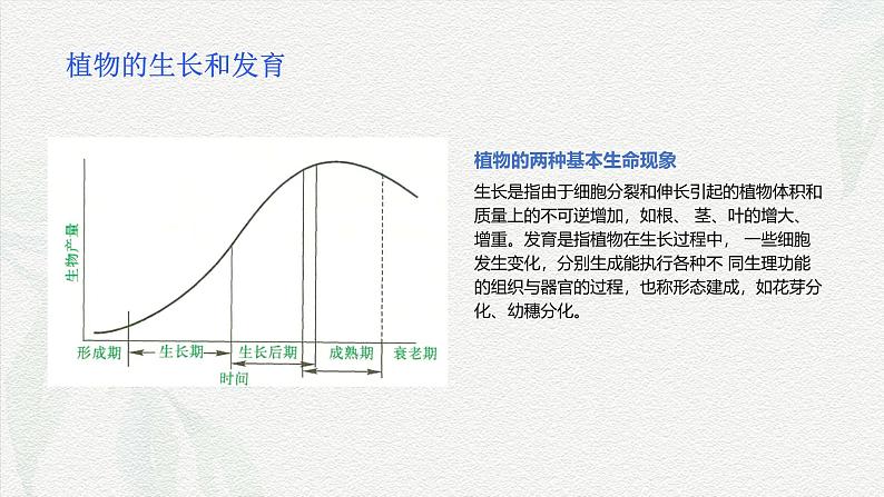 项目1 1.1 植物生产与环境概述（1）（课件）- 《植物生产与环境》（高教版第四版）同步精品课堂06