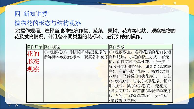 项目2 2.4 植物花的形态与结构观察（课件）-《植物生产与环境》（高教版第4版）同步精品课堂07