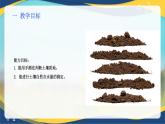 项目3 3.1 土壤质地的判断(手测法)（课件）-《植物生产与环境》（高教版第4版）同步精品课堂