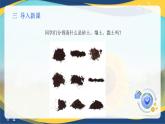 项目3 3.1 土壤质地的判断(手测法)（课件）-《植物生产与环境》（高教版第4版）同步精品课堂