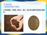 项目3 3.1 土壤质地的判断(手测法)（课件）-《植物生产与环境》（高教版第4版）同步精品课堂