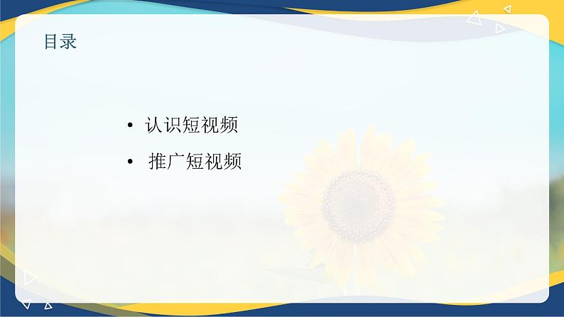 专题十视频营销 （课件）职教高考电子商务专业《网络营销实务》第2页