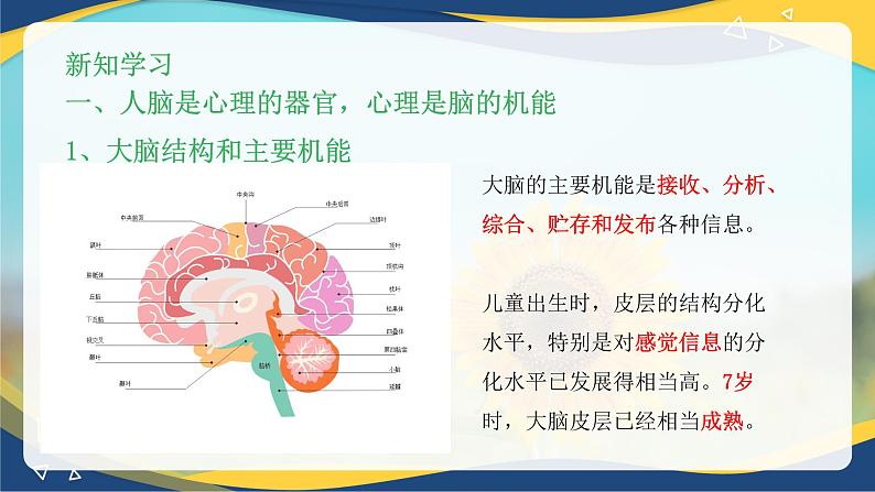 第一章+第二节+心理的基本特性（课件）-《幼儿心理学》（人教版第二版）第6页