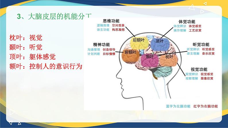 第一章+第二节+心理的基本特性（课件）-《幼儿心理学》（人教版第二版）第8页