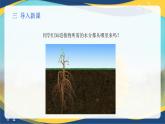 项目4 4.1 植物生产的水分条件（1）（课件）-《植物生产与环境》（高教版第4版）