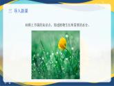 项目4 4.1 植物生产的水分条件（2）（课件）-《植物生产与环境》（高教版第4版）