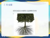 项目4 4.2 植物生产的水分调控（1）（课件）-《植物生产与环境》（高教版第4版）