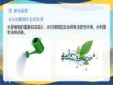 项目4 4.2 植物生产的水分调控（1）（课件）-《植物生产与环境》（高教版第4版）