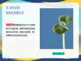 项目4 4.2 植物生产的水分调控（2）（课件）-《植物生产与环境》（高教版第4版）
