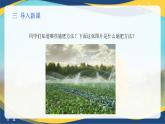项目3 3.4 作物减肥增效技术（1）（课件）-《植物生产与环境》（高教版第4版）