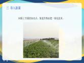 项目3 3.4 作物减肥增效技术（2）（课件）-《植物生产与环境》（高教版第4版）