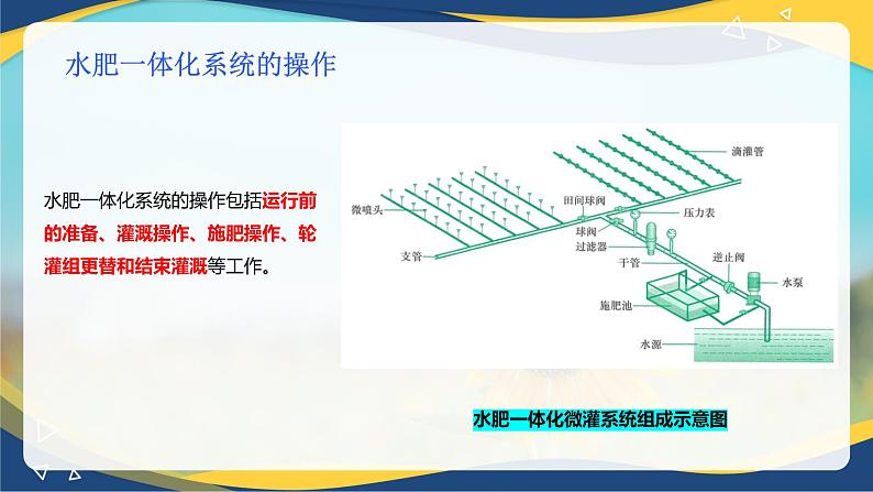 项目3 3.4 作物减肥增效技术（2）（课件）-《植物生产与环境》（高教版第4版）第6页