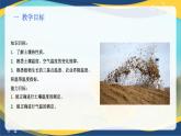项目6 6.1 植物生产的温度条件（1）（课件）-《植物生产与环境》（高教版第4版）