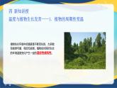 项目6 6.2 植物生产的温度调控（1）（课件）-《植物生产与环境》（高教版第4版）