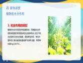 项目5 5.1 植物的光合作用（2）（课件）-《植物生产与环境》（高教版第4版）
