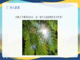 项目5 5.1 植物的呼吸作用（课件）-《植物生产与环境》（高教版第4版）