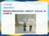 项目5 5.1 植物的呼吸作用（课件）-《植物生产与环境》（高教版第4版）