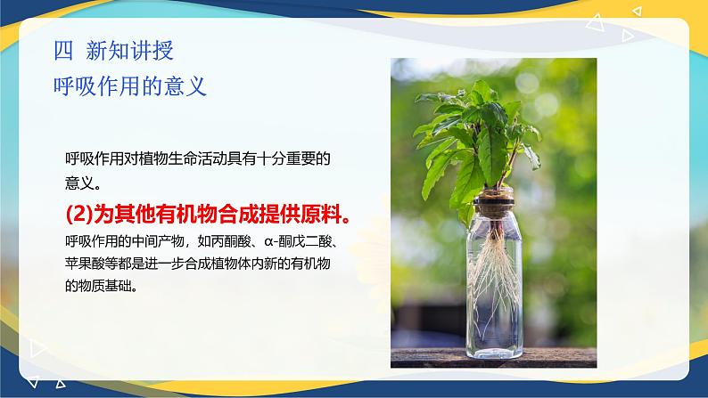 项目5 5.1 植物的呼吸作用（课件）-《植物生产与环境》（高教版第4版）第7页