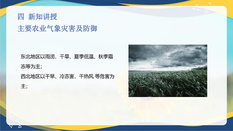 项目7 7.1 主要农业气象灾害及防御（1）（课件）-《植物生产与环境》（高教版第4版）第6页