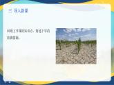项目7 7.1 主要农业气象灾害及防御（4）（课件）-《植物生产与环境》（高教版第4版）