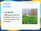 项目7 7.1 主要农业气象灾害及防御（4）（课件）-《植物生产与环境》（高教版第4版）
