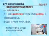 學(xué)前心理學(xué)00384 第三章 第二節(jié) 學(xué)前兒童注意發(fā)展的趨勢PPT課件