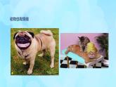 學(xué)前心理學(xué)00384 第九章 第一節(jié) 情緒在學(xué)前兒童心理發(fā)展中作用PPT課件