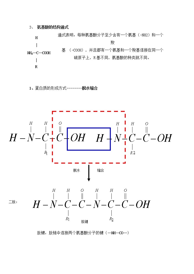 人教版生物（中职）2.1 细胞的化学成分及其作用 教案03