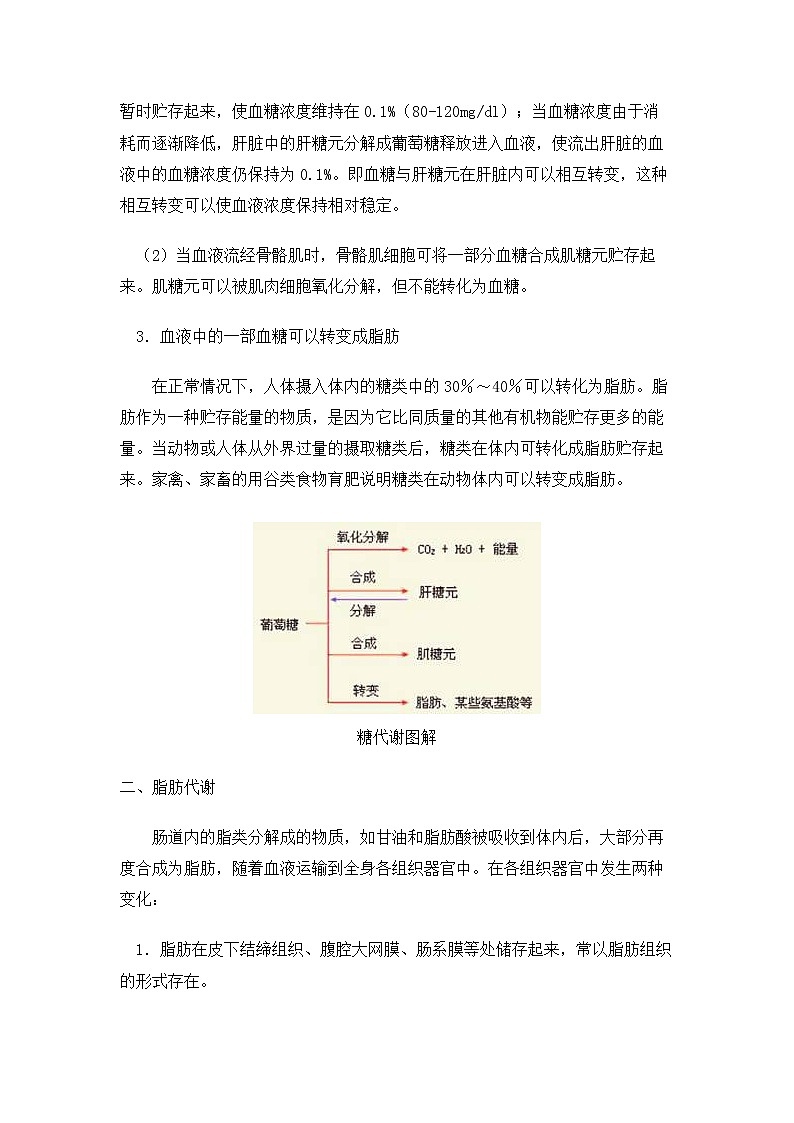 人教版生物（中职）3.3 动物的新陈代谢 教案02