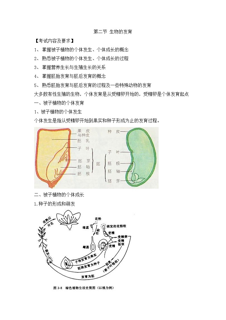 人教版生物（中职）4.2 生物的发育 教案第1页