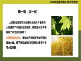 《植物生产与环境》 项目4 任务4.1 植物生产的水分条件 教学课件