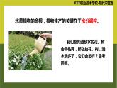 《植物生产与环境》 项目4 任务4.2 植物生产的水分调控 教学课件