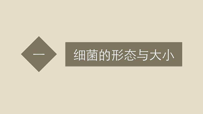 1.2 项目一 任务2 细菌染色及形态观察课件PPT07