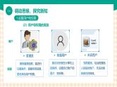 1.6《 维护信息系统》课件+教案+习题+任务书