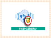 2.6.1《认识物联网》课件+教案+习题+任务书