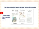 3.2.1《 设置文本格式》课件+教案+习题+任务书